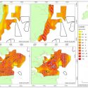 HiDef and Natural England publish Outer Thames survey results.