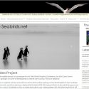 Seabirds.net launched, facilitating communication with researchers globally.