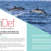 Consultancy Services